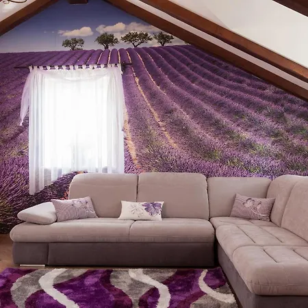 Vila Ferienhaeuser In Makarská